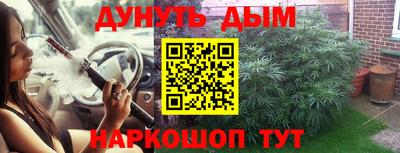 стафф Новозыбков