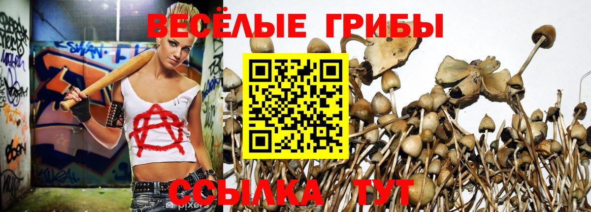 Псилоцибиновые грибы Cubensis Севастополь
