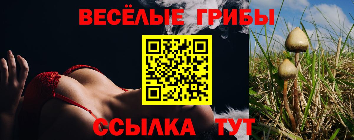 Псилоцибиновые грибы мухоморы  Вход с VPN  Псилоцибиновые грибы ЛСД  Севастополь 